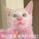 znqflfa