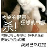纸房子