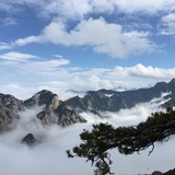 世纪飞虎