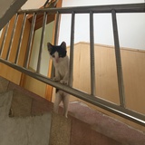 软绵绵