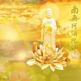 折烟