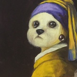 粉色玫瑰