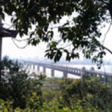 小泥巴