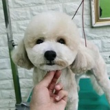 李沁先
