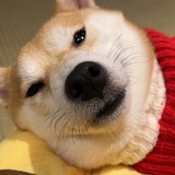 粥什么