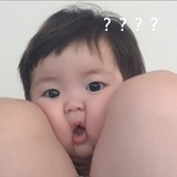 鲜活的小生命