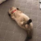 缘分天定