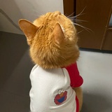 不豆瓣