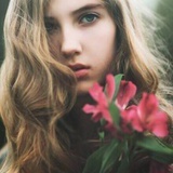 kd