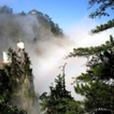 为影而生