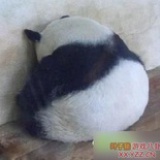 幽人梦长