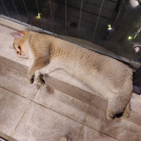 想跑路的搬砖工