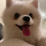 燁