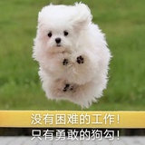烤蘑菇的式神