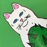 啦啦啦