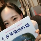 在水泥地上种花