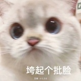 南北