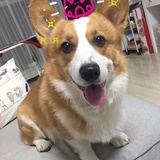 长喵喵