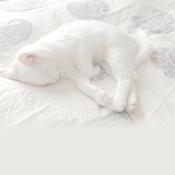睡在我眼里