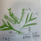 lfang_2011