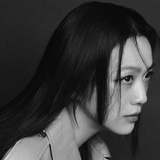 进口狐萝卜