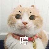 这是要闹哪样啊