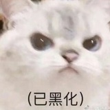 橘子君Lanlam