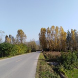 秦方秦