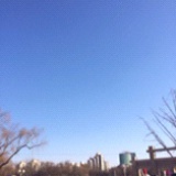 止兮怀恋