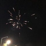 蛇