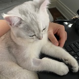 溟溟之中