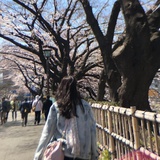 heki酱