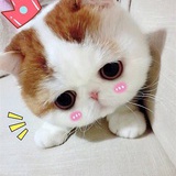 Lala l
