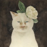 橘冷
