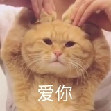 姜丝鸭