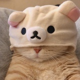 小蒽