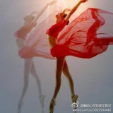 小凤