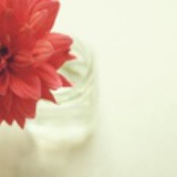 myredsmile