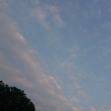 潇小君