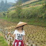 elaines_tree