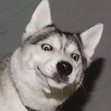 云轩暮卷