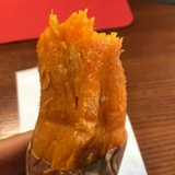蜜薯5号