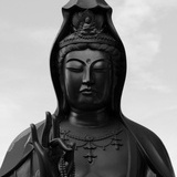 水煮鱼走糖