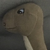 火光