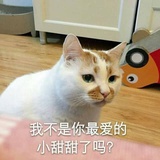 陈查宁