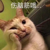 小小熊xi