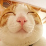 豆友61010265