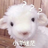 加颗墨鱼丸