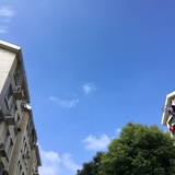 老步