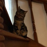 Vitoooo